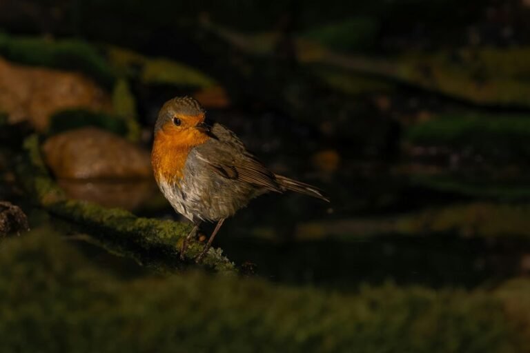 high reliability metric examination log